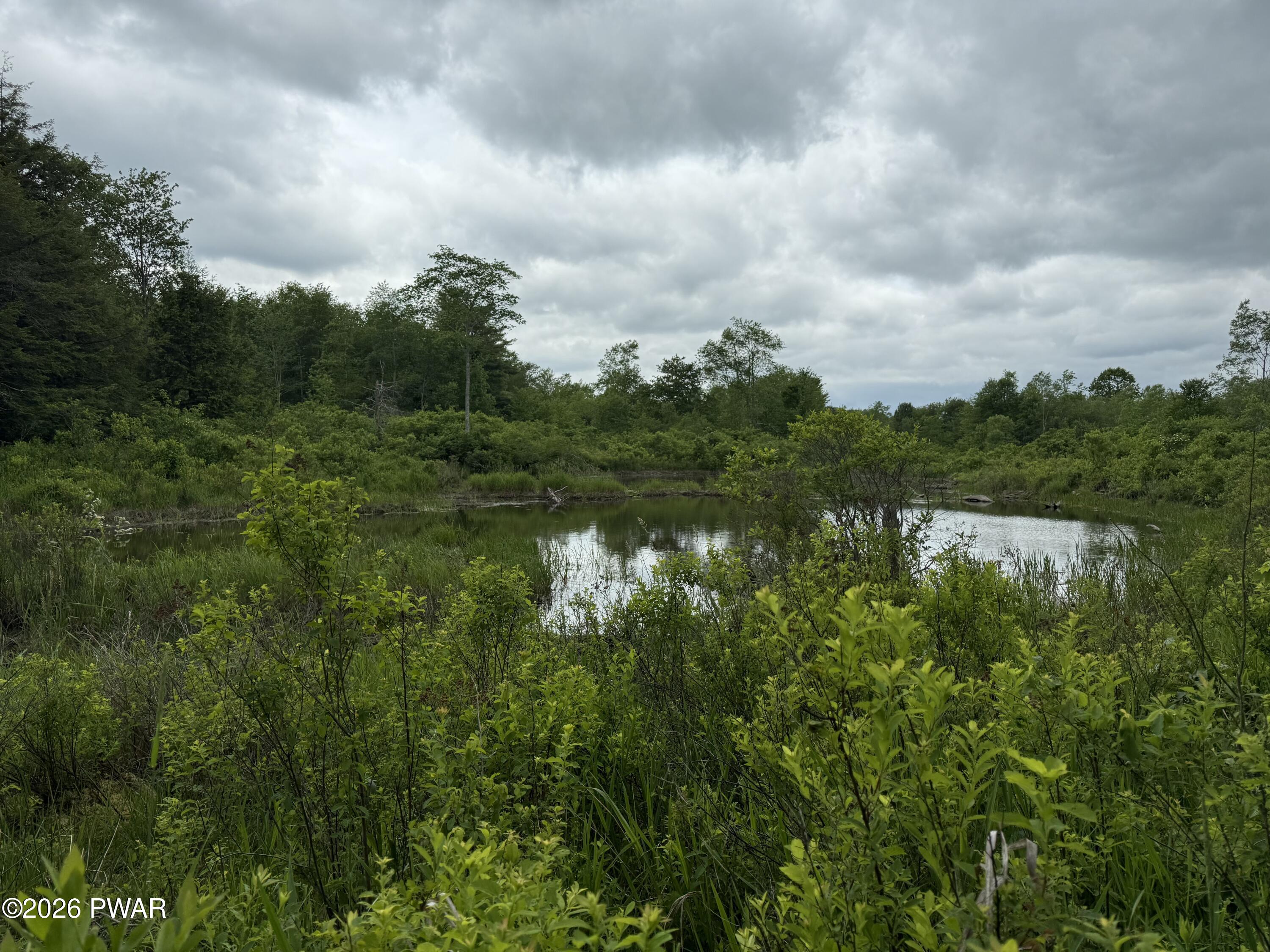 Beaver Hollow Road Lakewood, PA 18439 - Photo 7 of 7