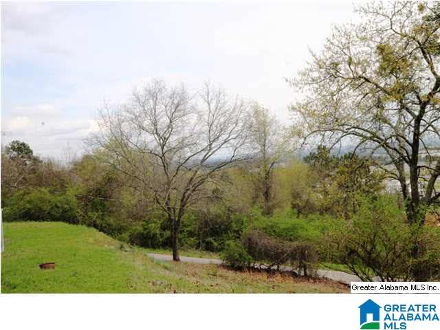 0 Pace Street Anniston, AL 36207 - Photo 26 of 28