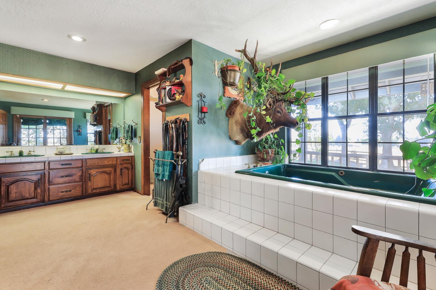 22050 Buena Vista Road Clements, CA 95227 - Photo 45 of 61 a living room with furniture and a potted plant
