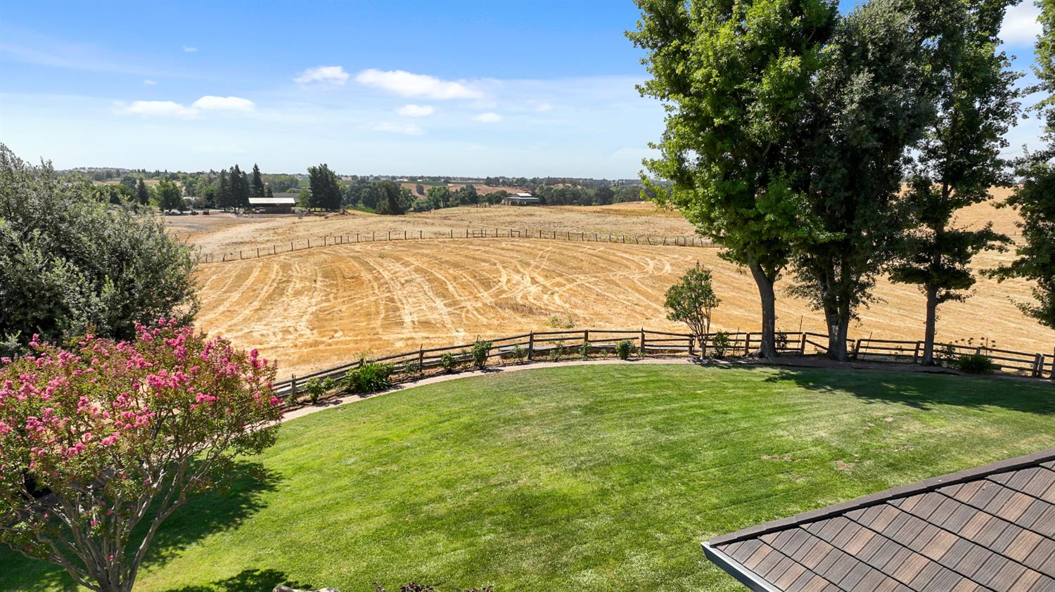 22050 Buena Vista Road Clements, CA 95227 - Photo 5 of 61 a view of yard with swimming pool and green space
