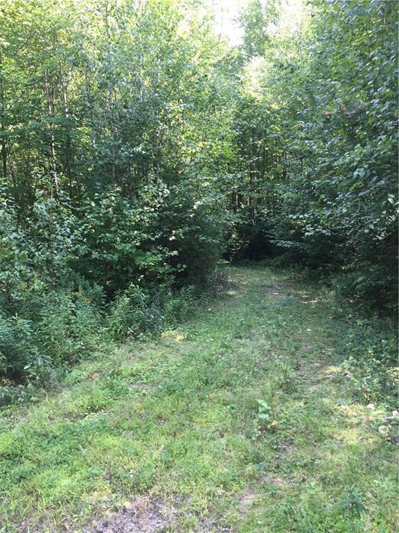 88 Abbott Road Acton, ME 04001 - Photo 3 of 14 Photo