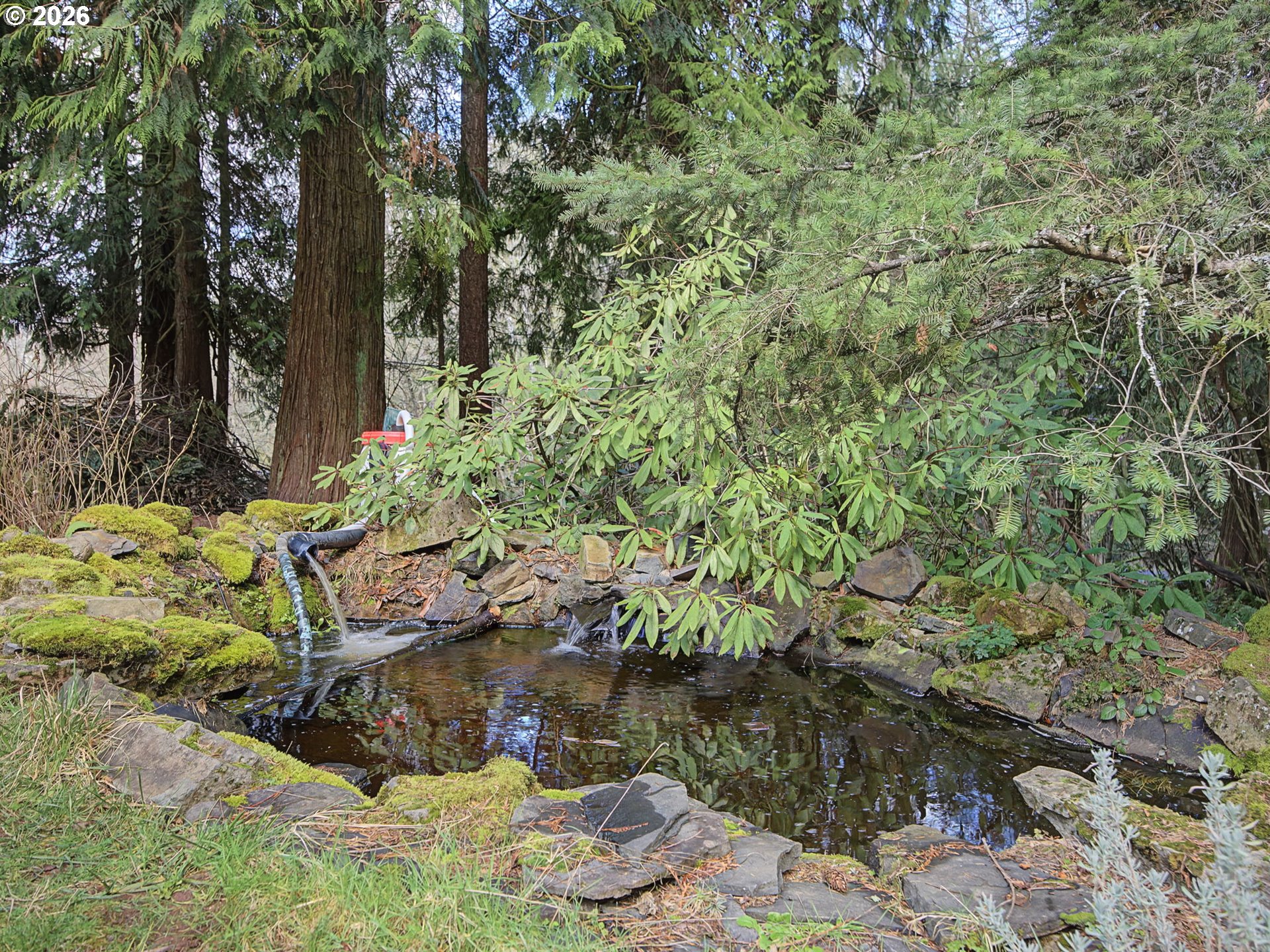 36036 Southeast Gunderson Road Sandy, OR 97055 - Photo 46 of 48 a backyard of a house with lots of green space