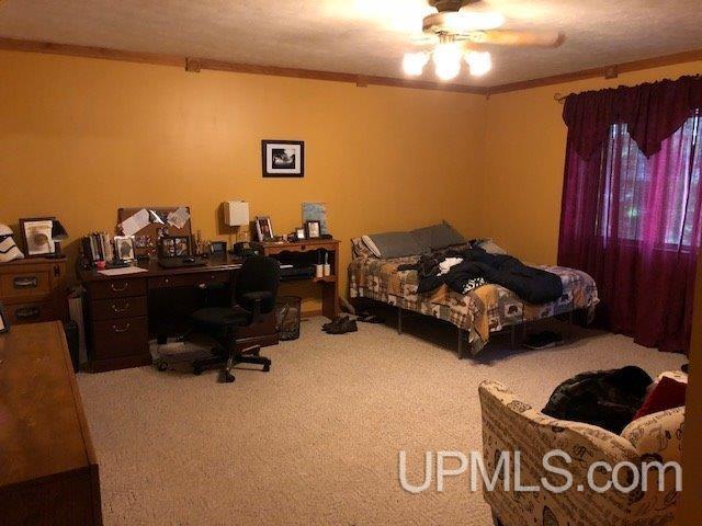 7768 Tipperary Road Gladstone, MI 49837 - Photo 15 of 22 Gallery Image 15