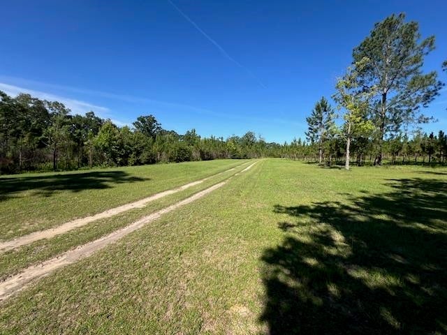 31272 Highway 331 Opp, AL 36467 - Photo 36 of 50 Gallery Image 36