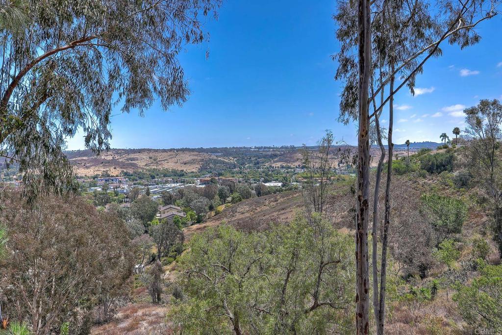 13619 Atoka Place Poway, CA 92064 - Photo 36 of 37