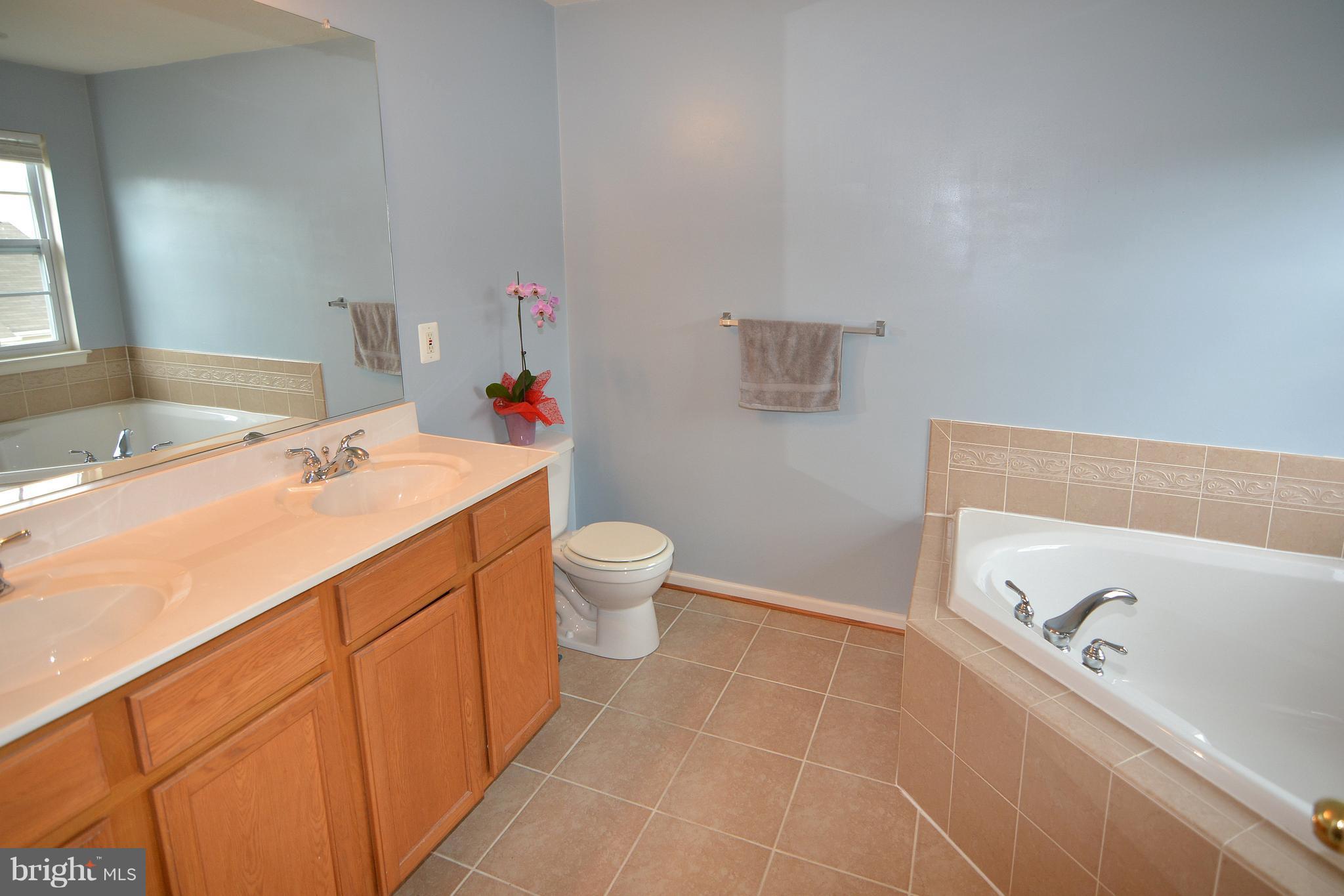 9722 Langley Road Baltimore, MD 21220 - Photo 13 of 30 a bathroom with a sink a toilet and a bathtub