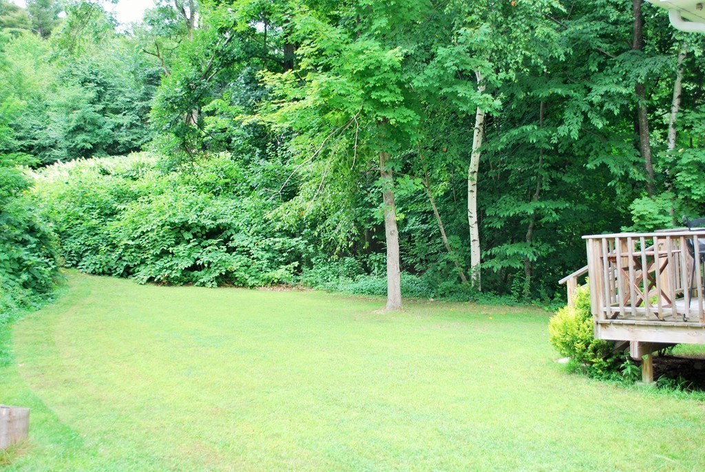 24 Joppa Road Worcester, MA 01602 - Photo 6 of 22 Gallery Image 6