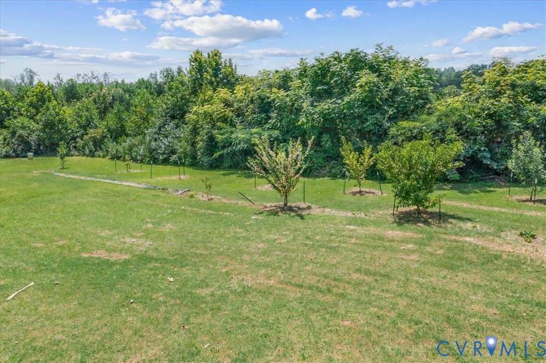 7341 Thweatt Drive Disputanta, VA 23842 - Photo 25 of 38 a view of a field with a tree