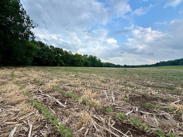 10.72-acres North 800 Road Baldwin City, KS 66006 - Photo 7 of 17