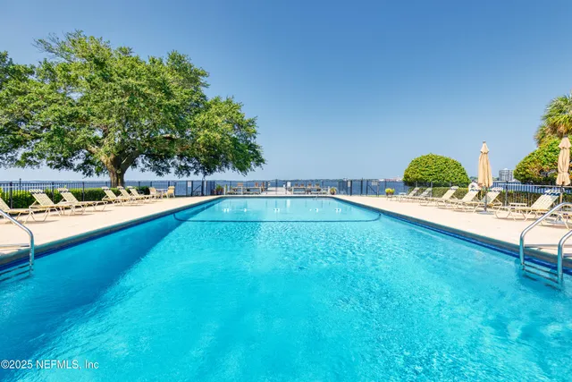 a backyard with tall trees