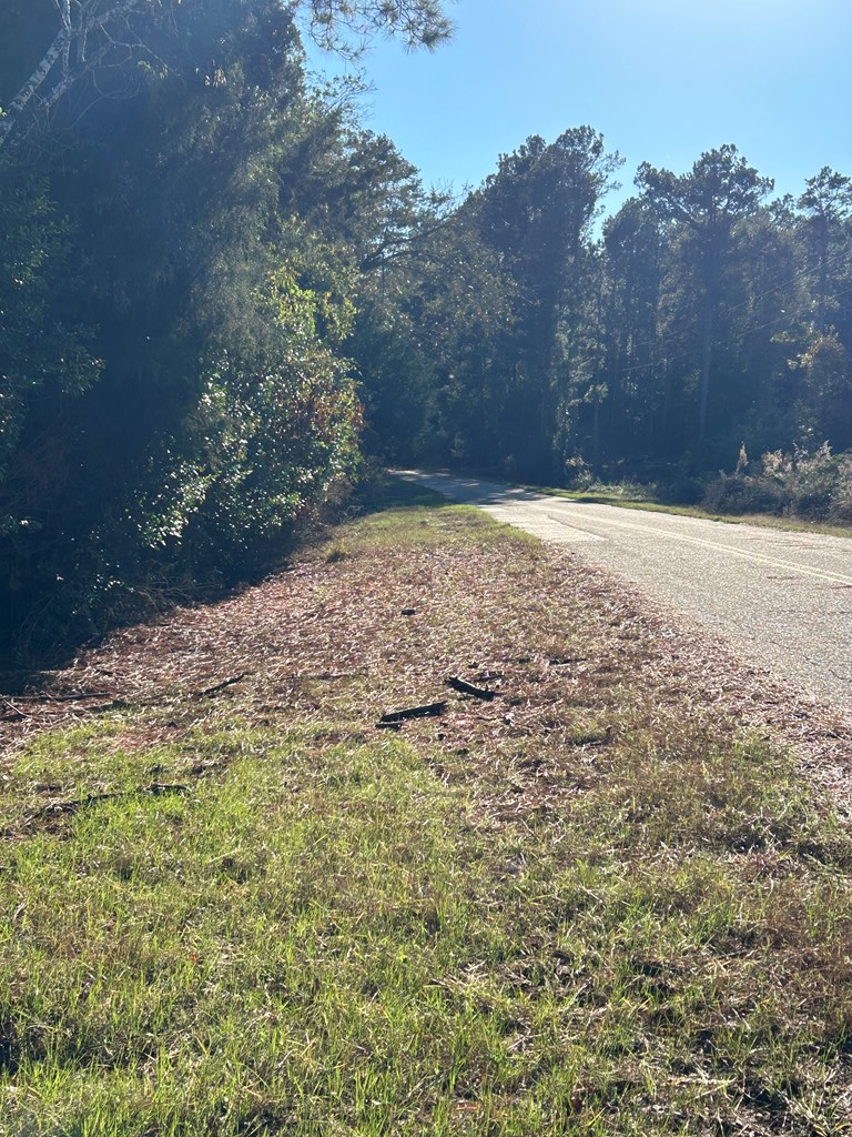 0 Lizard Lope Road Columbia, AL 36319 - Photo 5 of 5
