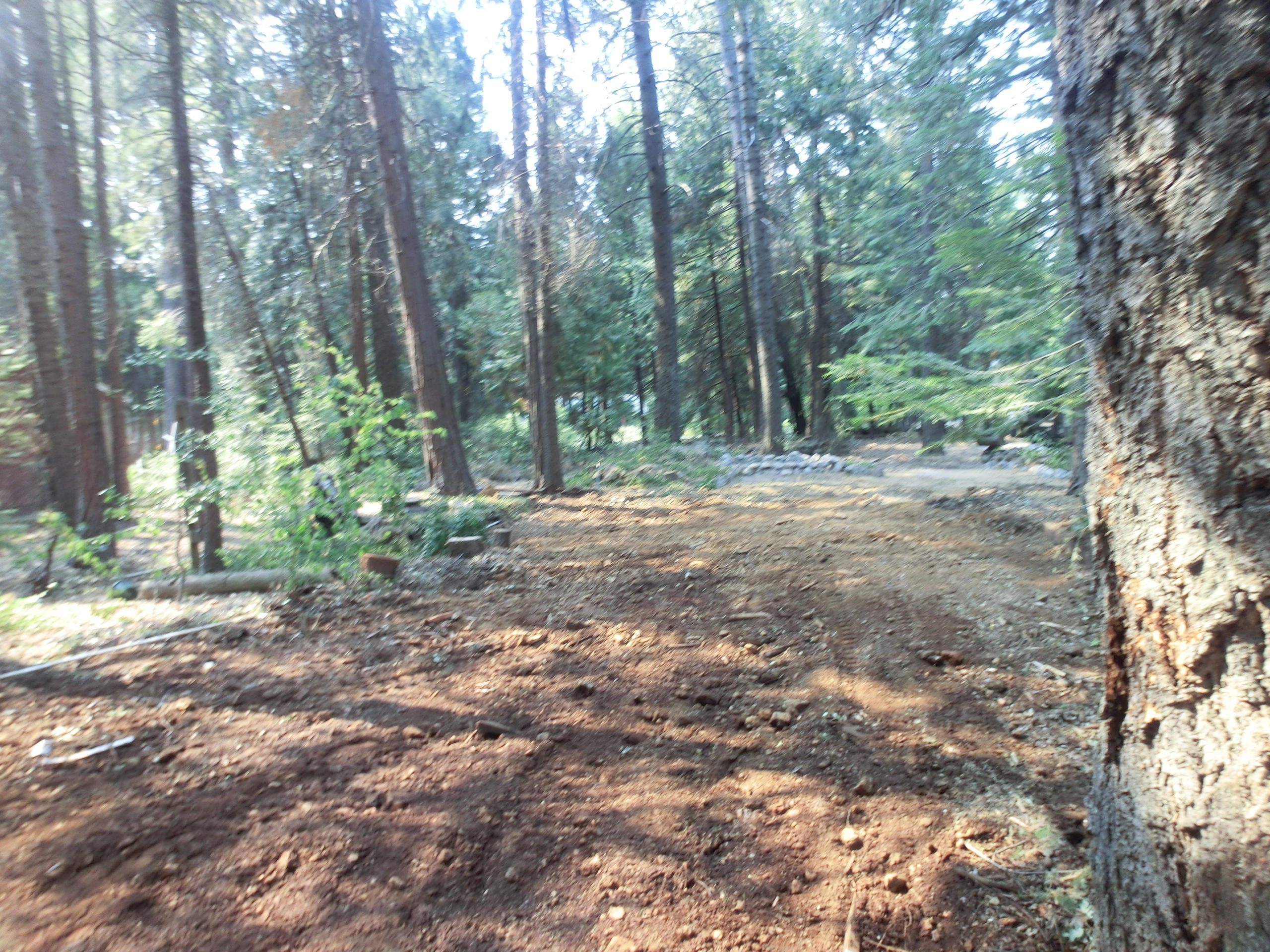 8372 Starlite Pines Road Shingletown, CA 96088 - Photo 19 of 22 CIMG0384