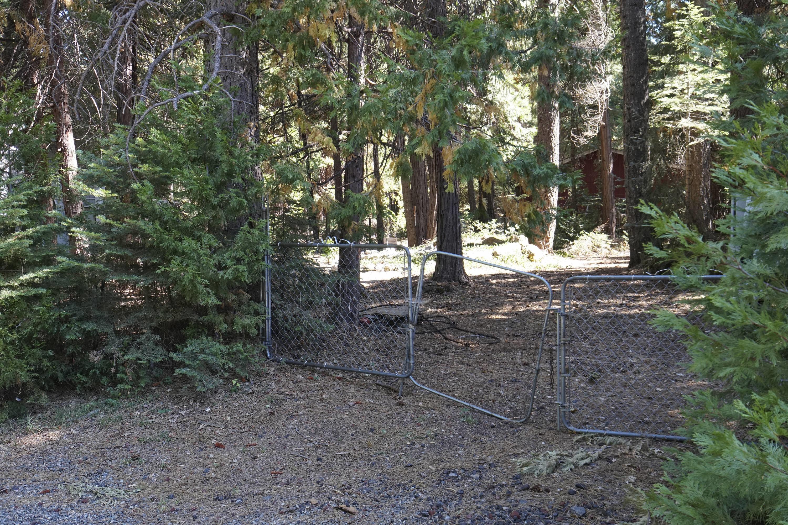 8372 Starlite Pines Road Shingletown, CA 96088 - Photo 22 of 22 DSC01517 copy