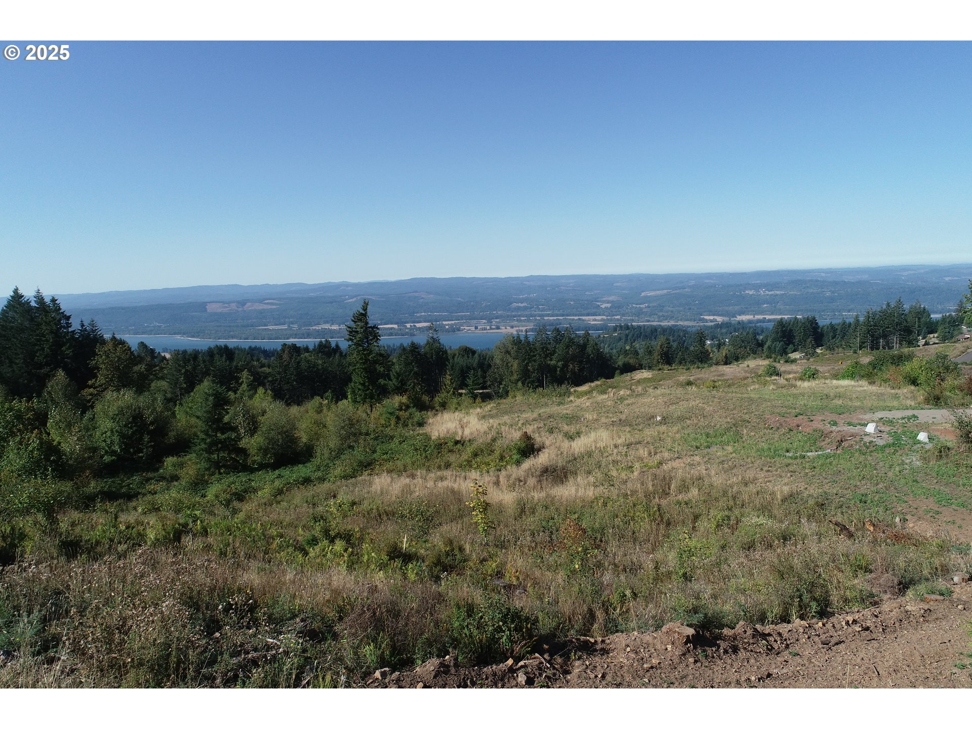 4130 Green Mountain Road, Unit 1 Kalama, WA 98625 - Photo 1 of 13 a view of a field with trees in background