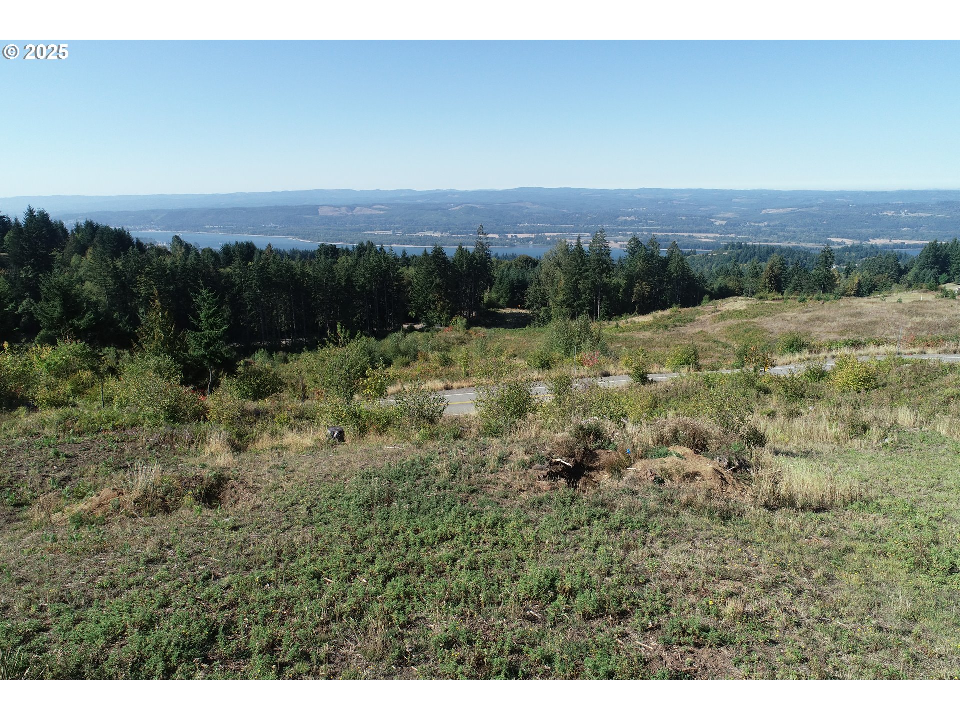 4130 Green Mountain Road, Unit 1 Kalama, WA 98625 - Photo 13 of 13 a view of a yard