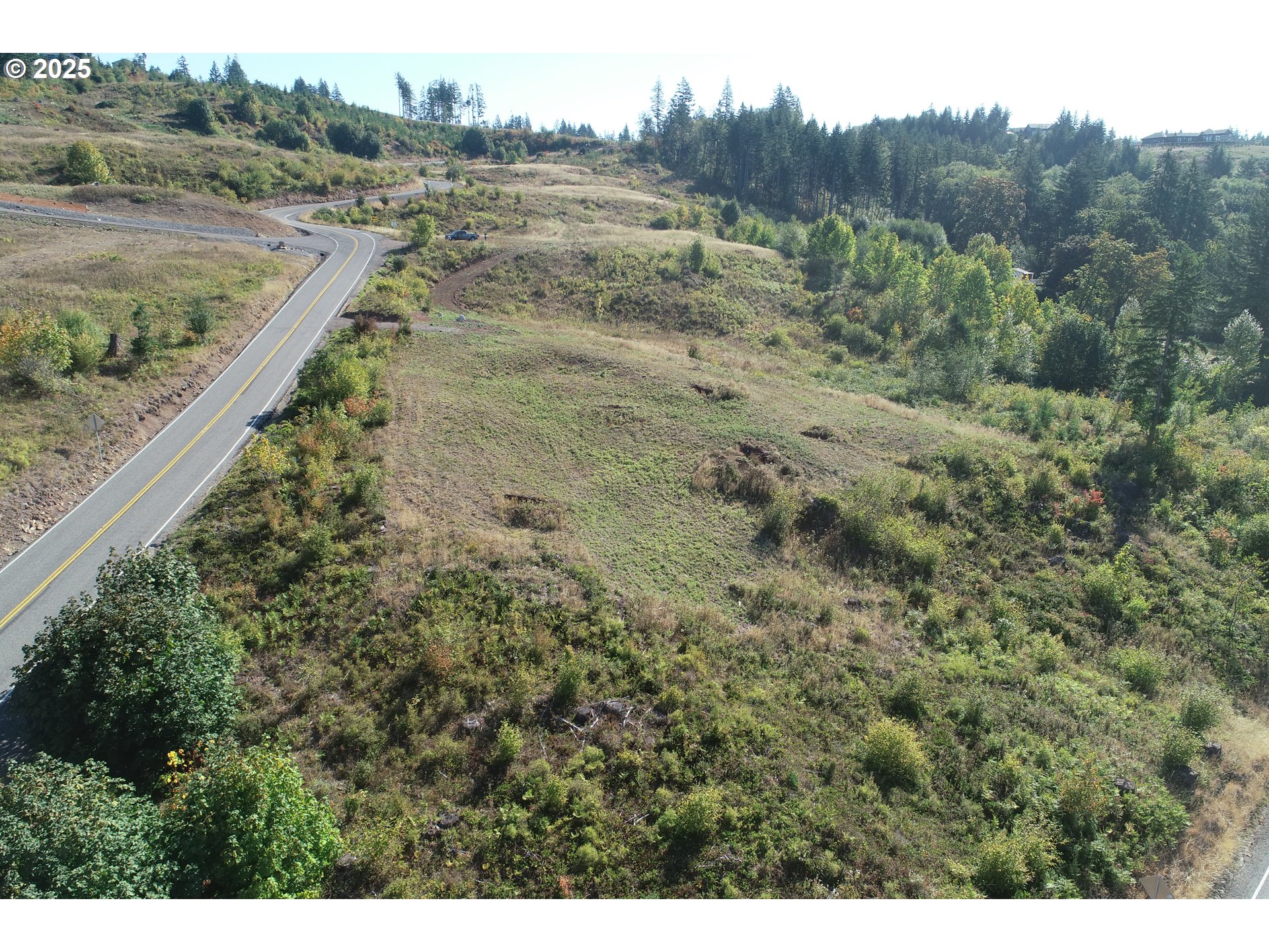 4130 Green Mountain Road, Unit 1 Kalama, WA 98625 - Photo 4 of 13 a view of a dry yard with trees