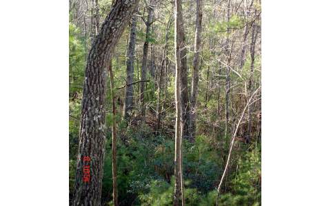 143 Foxhound Trail Northeast Ranger, GA 30734 - Photo 1 of 1
