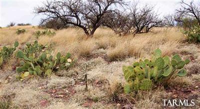 0 Sonoita Springs Ranch Road, Unit 21C Patagonia, AZ 85624 - Photo 8 of 21