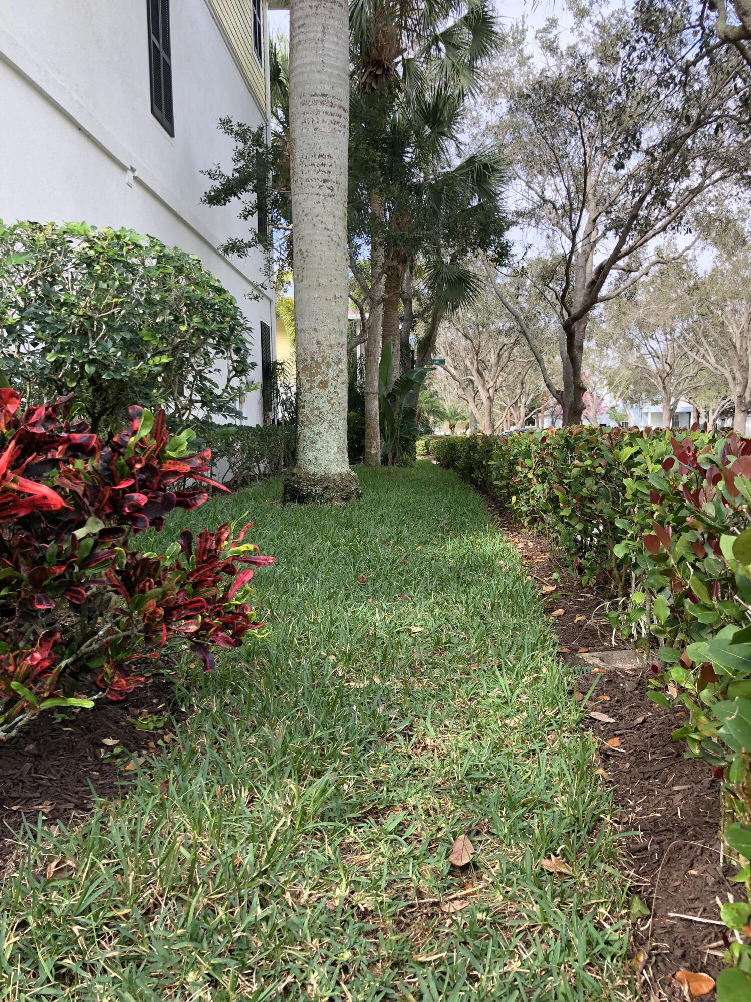 3336 West Community Drive Jupiter, FL 33458 - Photo 31 of 48 IMG-5370-EDIT-1
