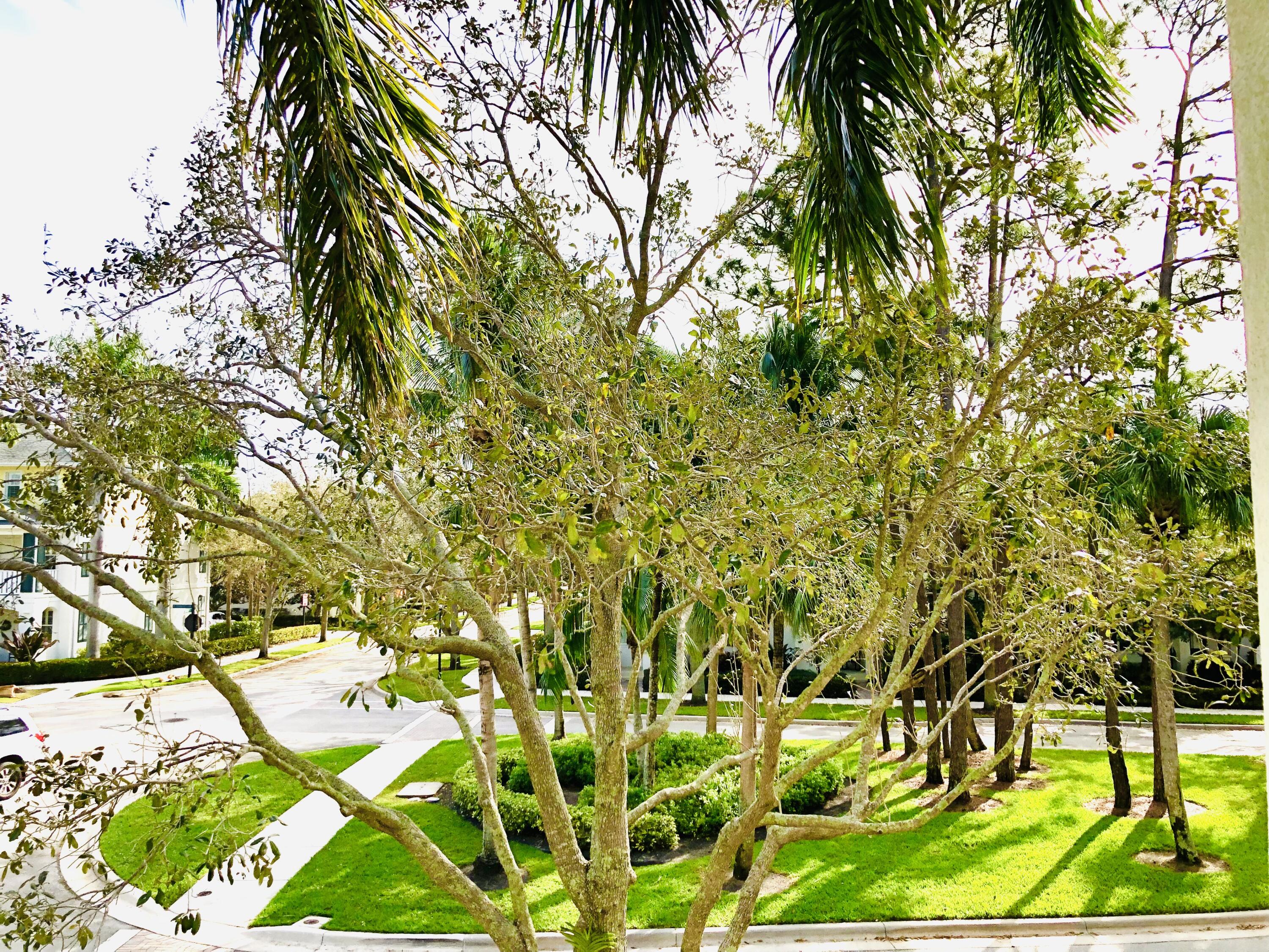 3336 West Community Drive Jupiter, FL 33458 - Photo 35 of 48 9966D706-E5F5-4501-A48E-66A2A79D86EF