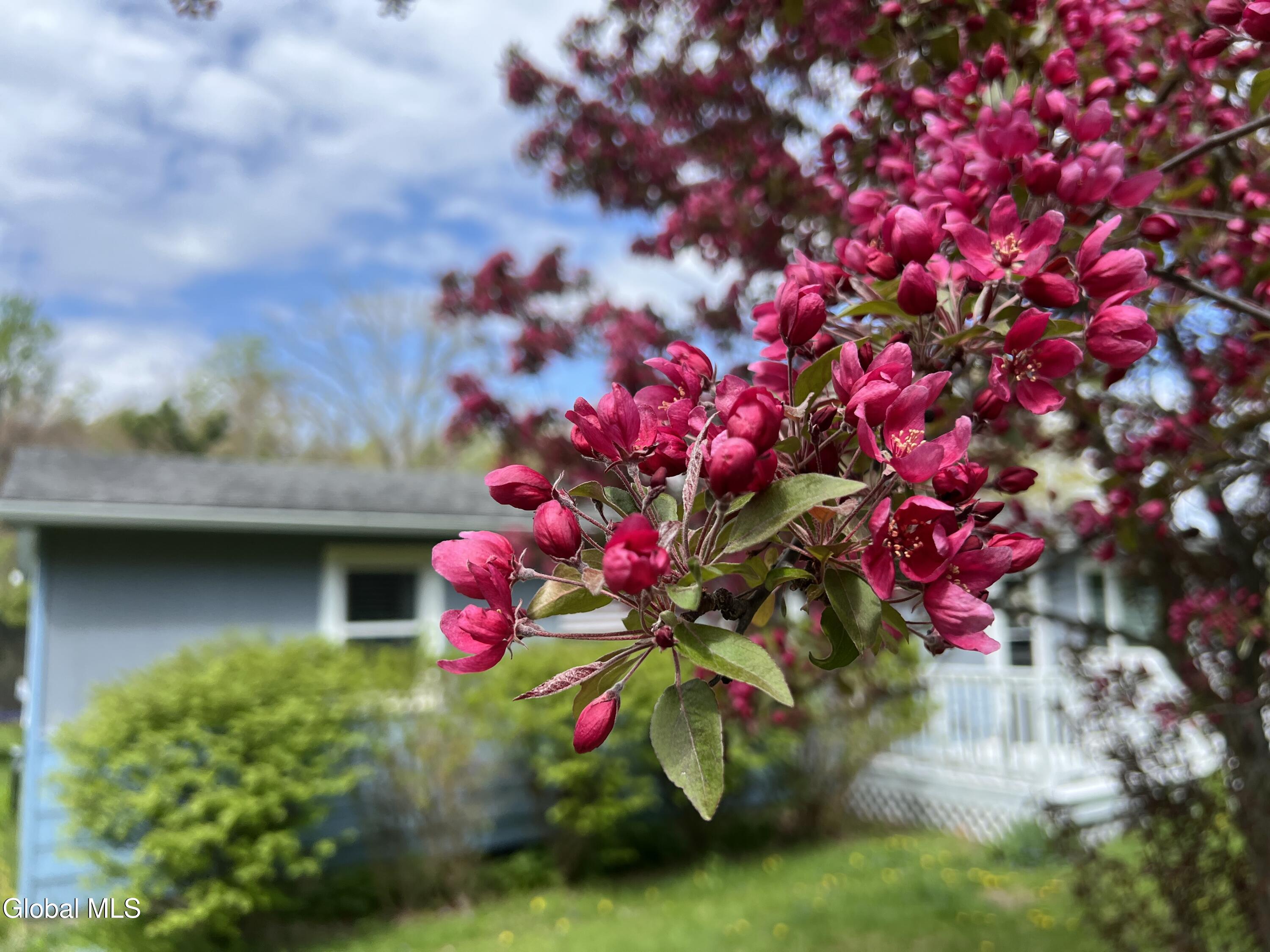 205 Deepkill Road Brunswick, NY 12180 - Photo 42 of 46 IMG_5425