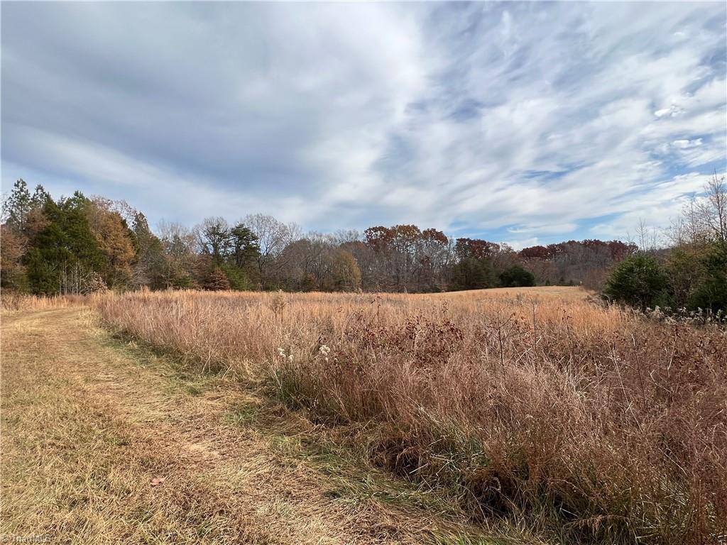 0 Nature Lane Eden, NC 27288 - Photo 2 of 7 Cleared Portion of Property (1)