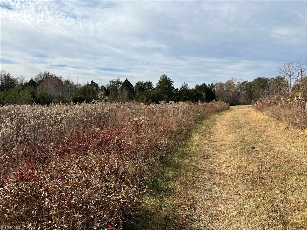 0 Nature Lane Eden, NC 27288 - Photo 4 of 7 Cleared Portion of Property (3)