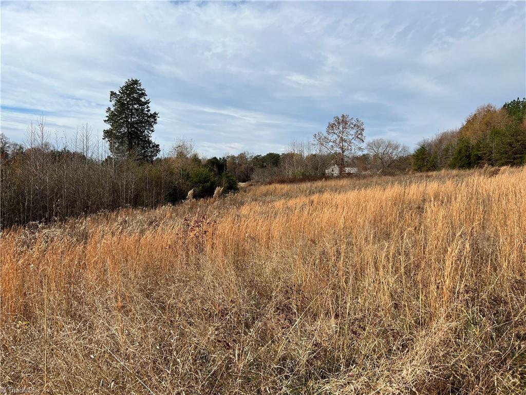 0 Nature Lane Eden, NC 27288 - Photo 5 of 7 Cleared Portion of Property (4)