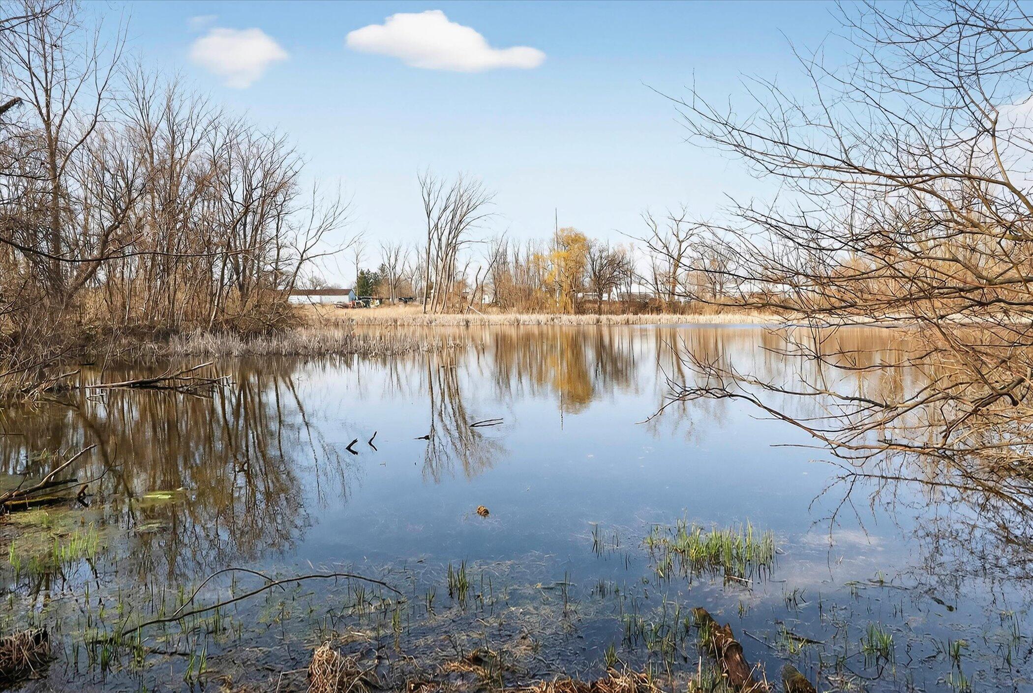 16100 Fawn River Road White Pigeon, MI 49099 - Photo 32 of 32 46-16100-Fawn-River-Rd-White-Pigeon-MI-4