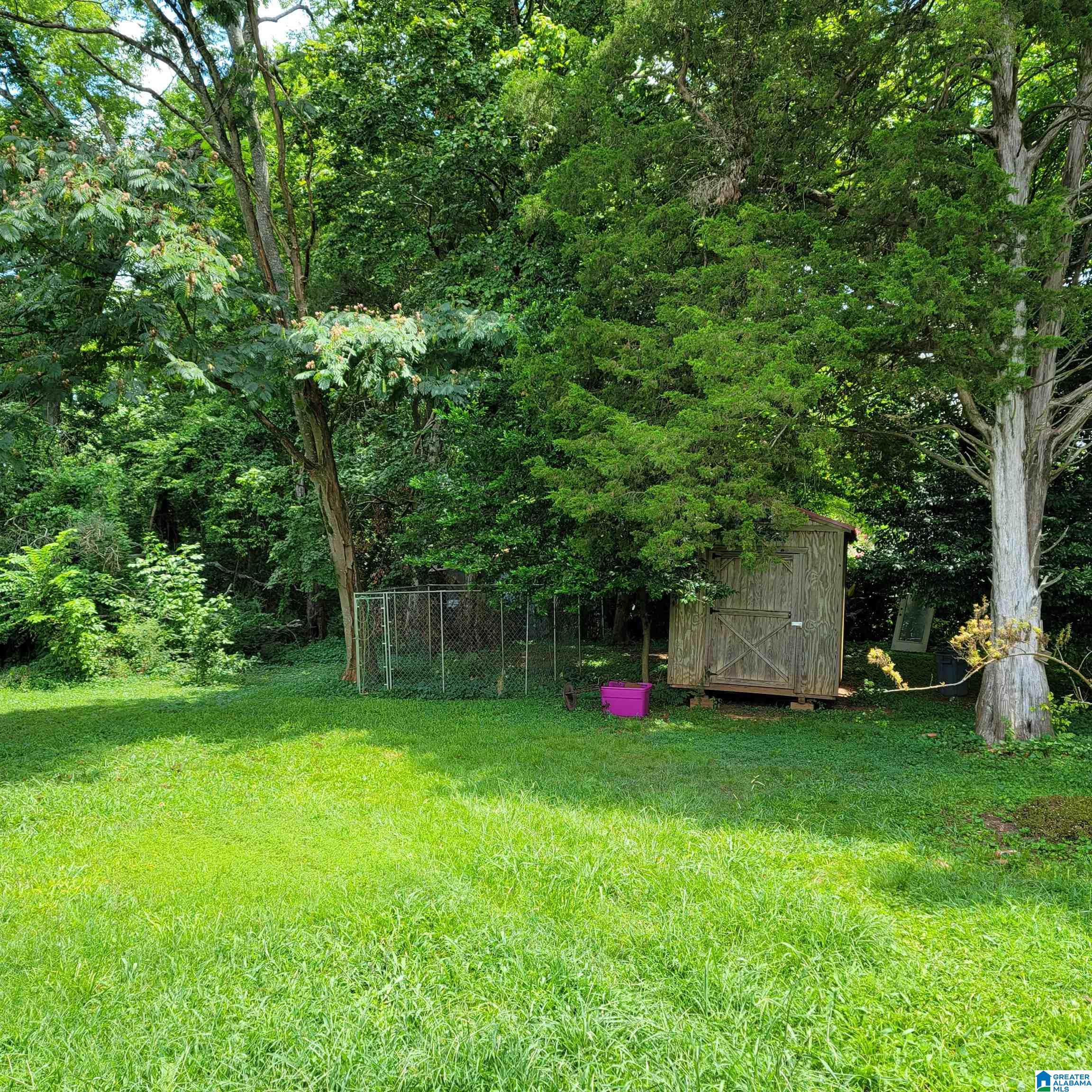 1625 Ray Street Northeast Leeds, AL 35094 - Photo 3 of 6