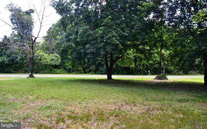 340 Pine Tree Road Chestertown, MD 21620 - Photo 19 of 22