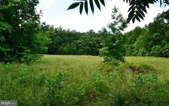 340 Pine Tree Road Chestertown, MD 21620 - Photo 20 of 22