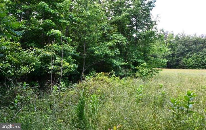 340 Pine Tree Road Chestertown, MD 21620 - Photo 21 of 22