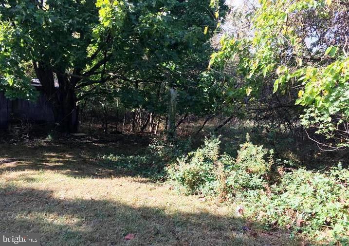 340 Pine Tree Road Chestertown, MD 21620 - Photo 7 of 22