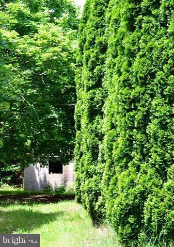 340 Pine Tree Road Chestertown, MD 21620 - Photo 9 of 22