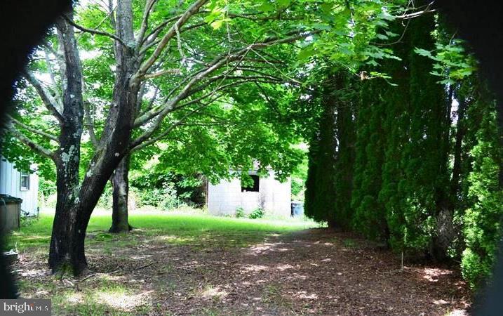 340 Pine Tree Road Chestertown, MD 21620 - Photo 10 of 22