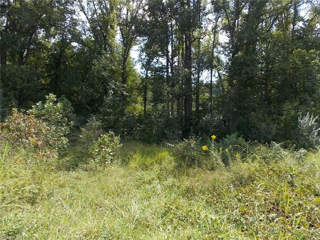 197 Simmons Road Pilot Mountain, NC 27041 - Photo 2 of 4 Gallery Image 2
