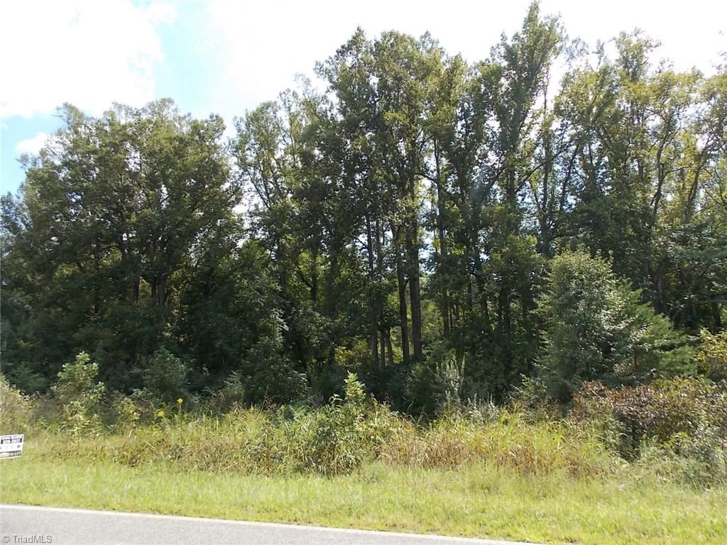 197 Simmons Road Pilot Mountain, NC 27041 - Photo 3 of 4 Gallery Image 3