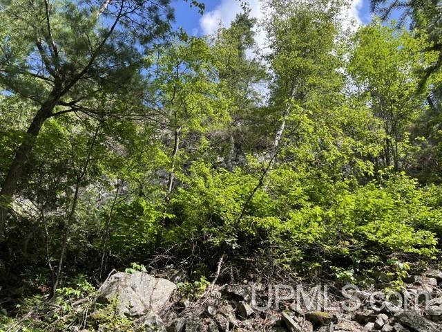 20-acres Willow Creek Road Negaunee, MI 49866 - Photo 11 of 17