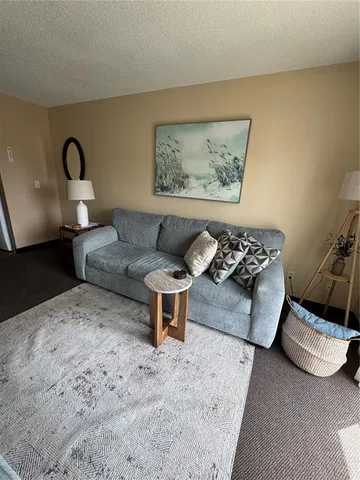 a living room with furniture a couch and a potted plant on it
