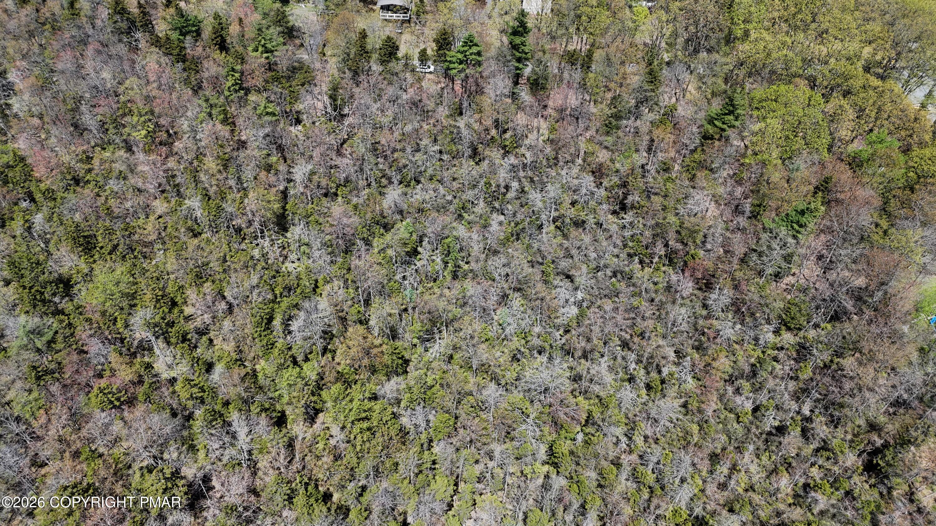 Lot 624 Laurel Road Pocono Summit, PA 18346 - Photo 3 of 5 a view of a dry yard with green space