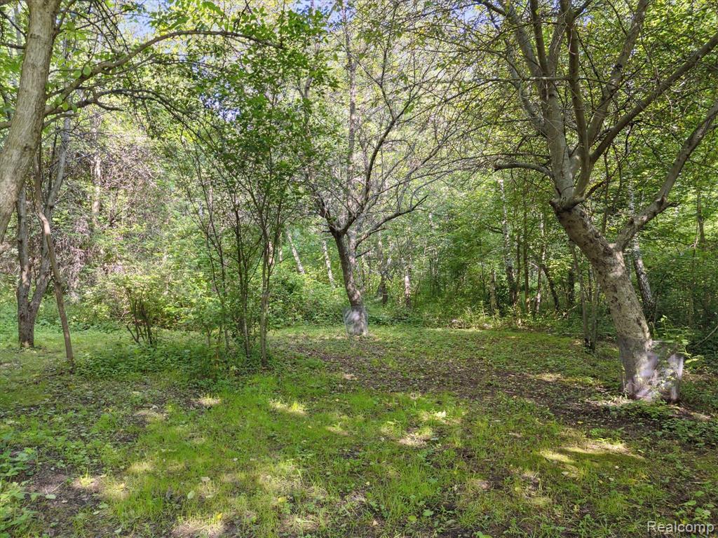 2374 North Vassar Road Davison, MI 48423 - Photo 4 of 15