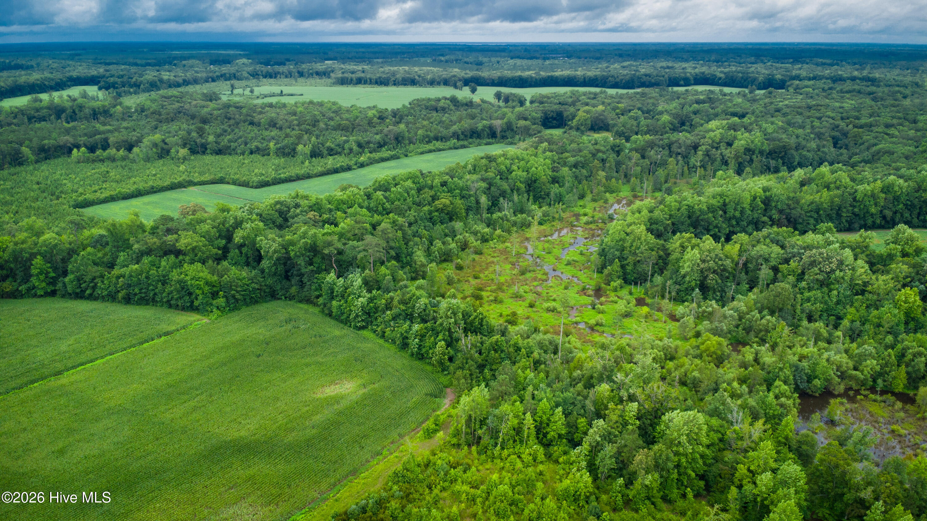1601 Hill Neck Road Ernul, NC 28527 - Photo 21 of 33 Over 230 Acres of Opportunity