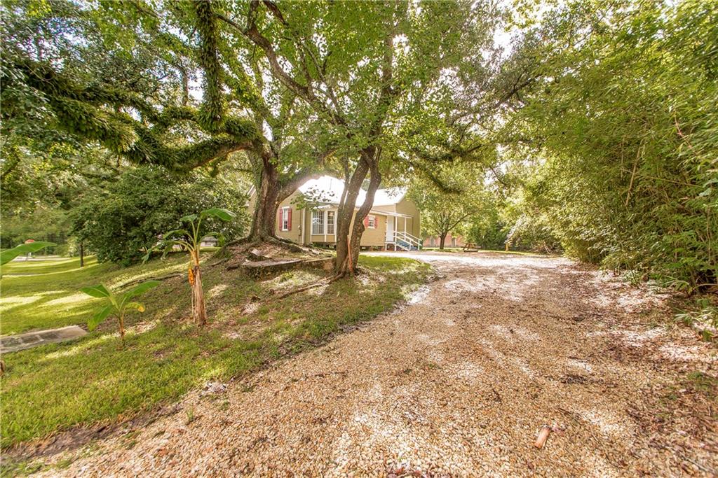 32210 2nd Street Springfield, LA 70462 - Photo 11 of 38