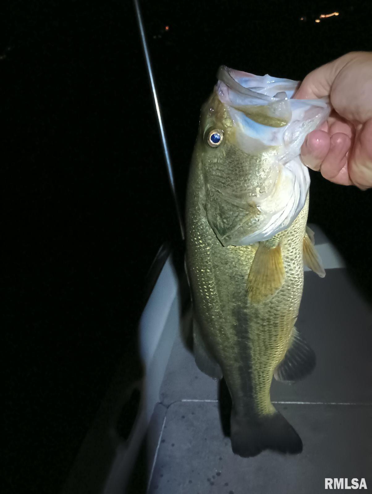 555 Karel Park Road Raleigh, IL 62977 - Photo 50 of 51