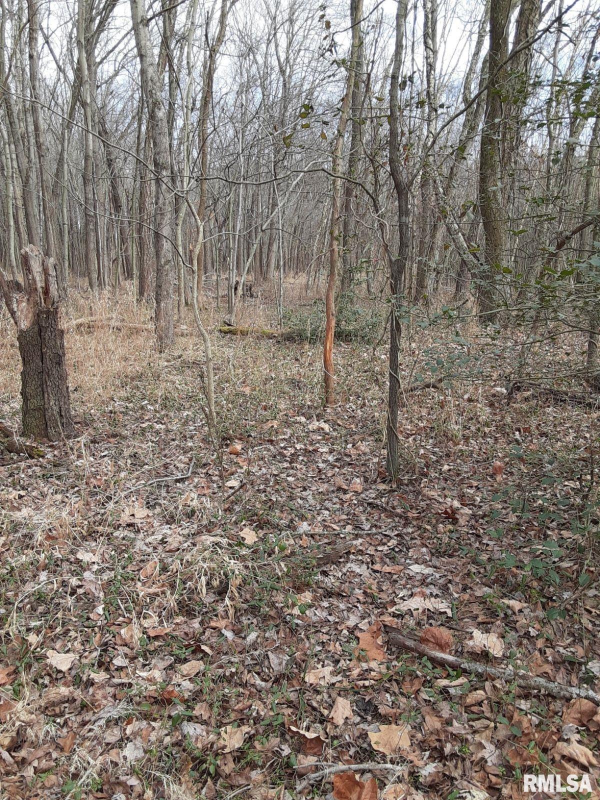 555 Karel Park Road Raleigh, IL 62977 - Photo 51 of 51