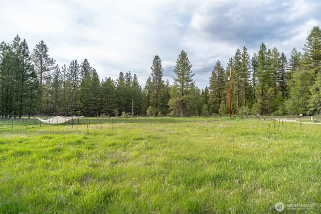 a view of a green field with trees in the background