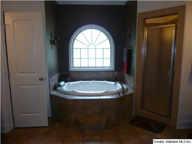 8451 Jackson Street Morris, AL 35116 - Photo 16 of 32