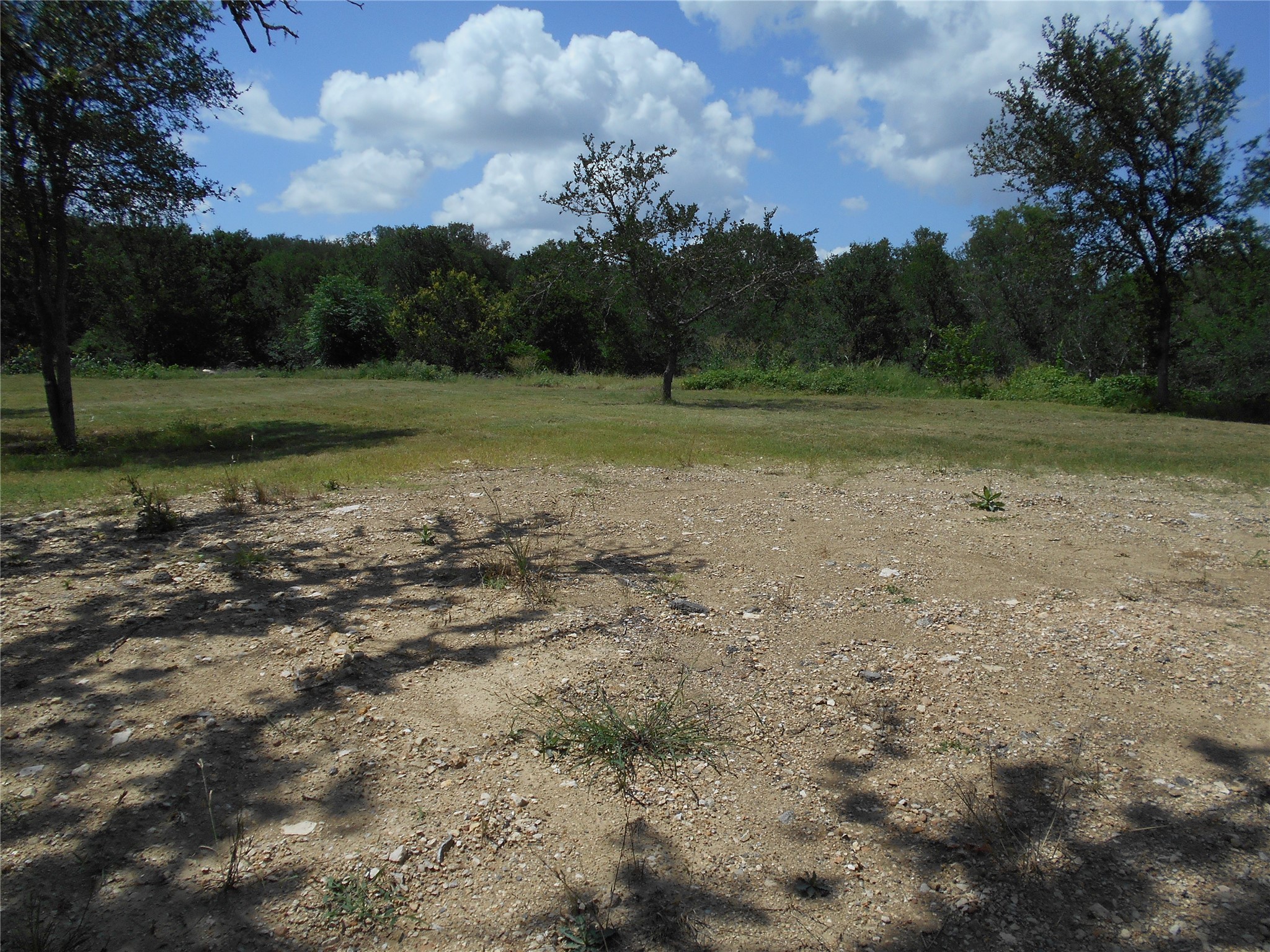 8001 Burleson Manor Road Manor, TX 78653 - Photo 21 of 31 A spacious, naturally illuminated lot provides a private oasis amidst lush greenery.