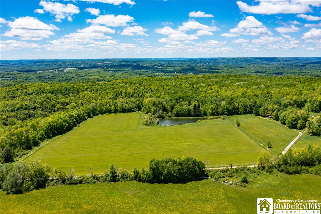 0 Scott Hill Road Kennedy, NY 14747 - Photo 1 of 16
